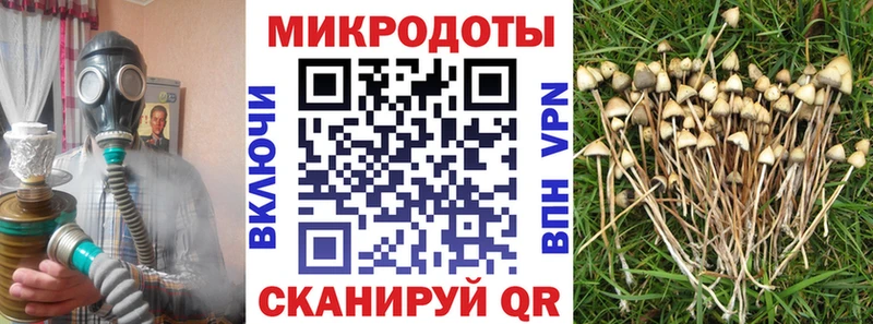 Псилоцибиновые грибы мухоморы  Муром 
