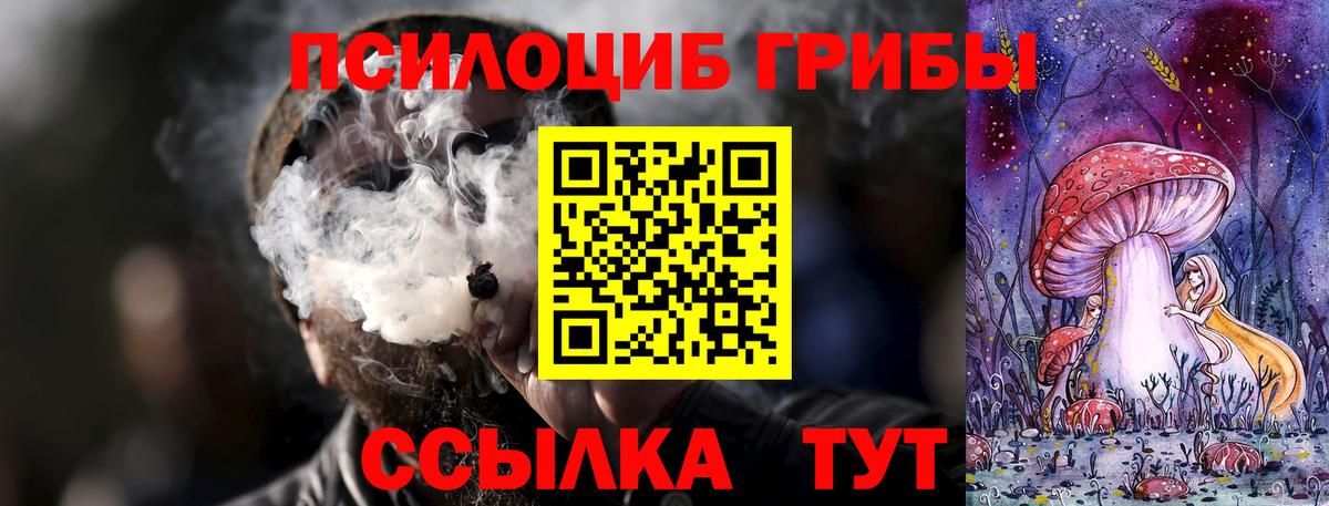 Муром  Галлюциногенные грибы Psilocybe  Галлюциногенные грибы мухоморы  Вход с VPN 