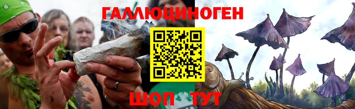 Галлюциногенные грибы прущие грибы Муром